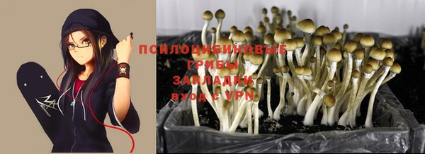 МДПВ Горнозаводск