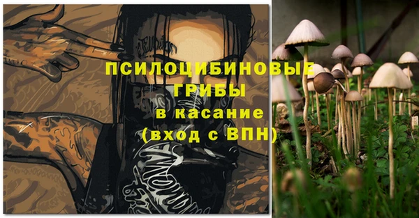 дживик Горно-Алтайск
