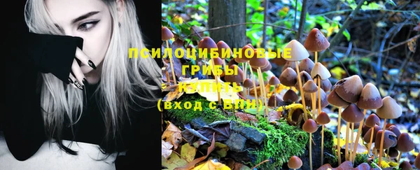 МДПВ Горнозаводск