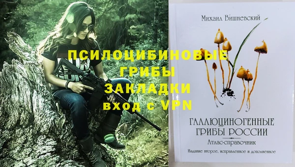 дживик Горно-Алтайск