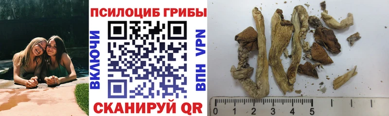 Псилоцибиновые грибы ЛСД Семикаракорск