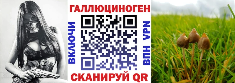 Псилоцибиновые грибы мицелий  Купить  Семикаракорск 